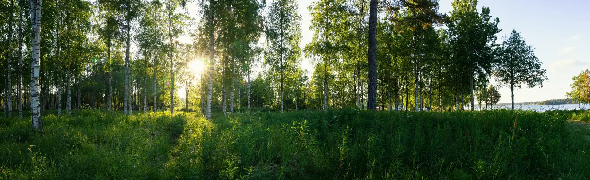 Byta FTX-aggregat Borås